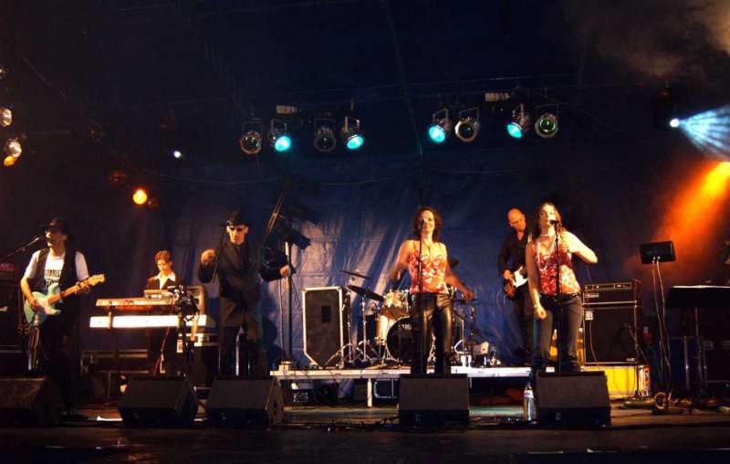 thebluesrocknsoulreviewfestivaldieren.jpg