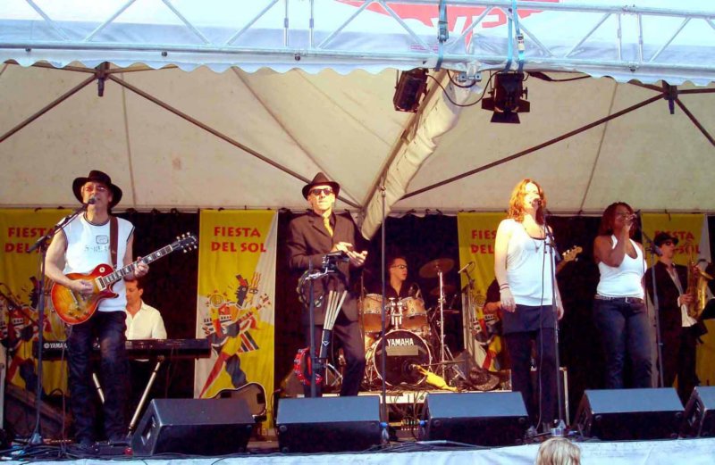thebluesrocknsoulreviewfiestadelsol2008.jpg